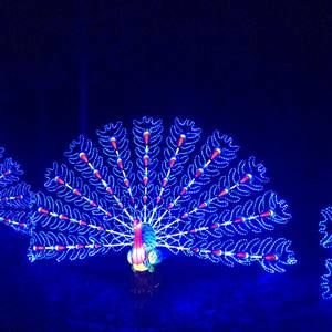 Meet your Posher, Rose